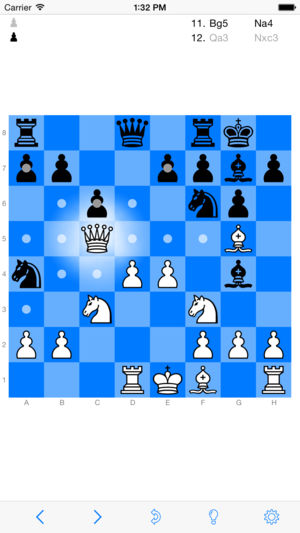 t Chess Pro (国际象棋)