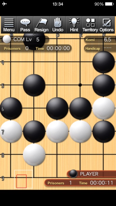 Champion Go -Crazy Stone-