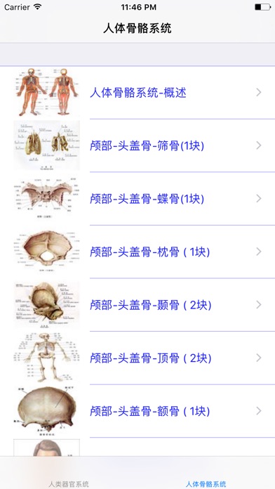 人类器官系统|人体骨骼构造大全