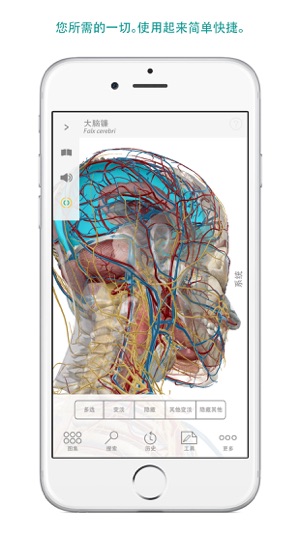 Human Anatomy Atlas – 3D Anatomical Model of the Human Body