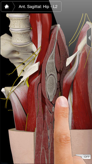 Hip Pro III with Animations - iPhone Edition