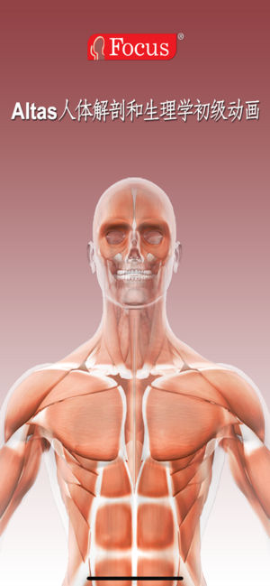 人体解剖和生理学
