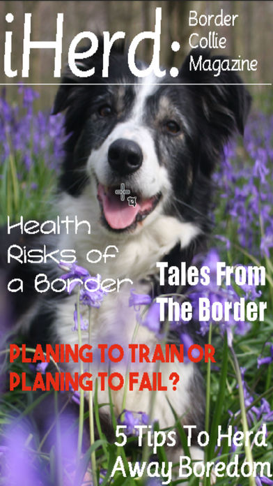iHerd: Border Collie Lovers Magazine