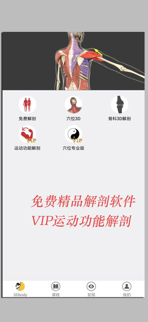 3Dbody解剖-高精三维解剖图像