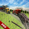 欧洲卡车司机3D：重型货运业 Euro Truck Driver Simulator PRO